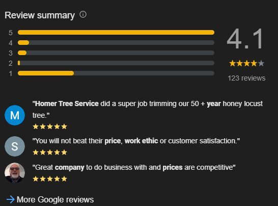 Google Review