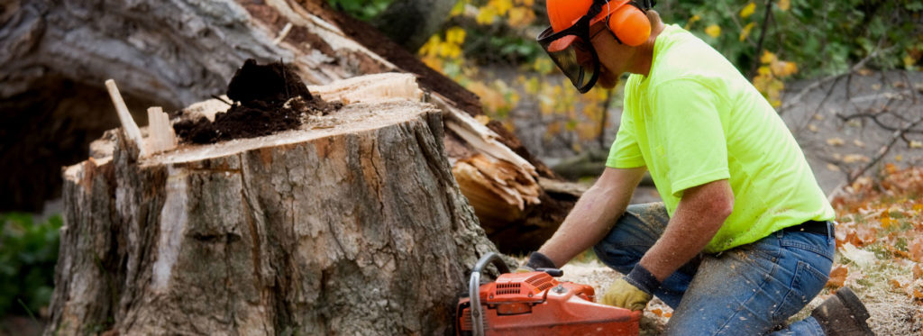 A homer employee cutting tree