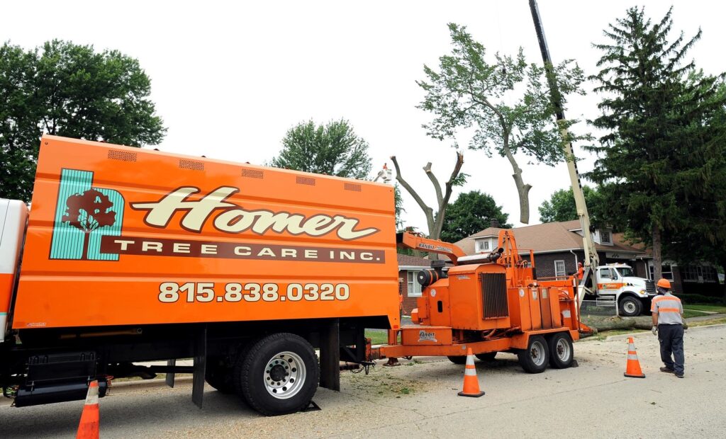 Tree Services and Tree Care - Homer Tree