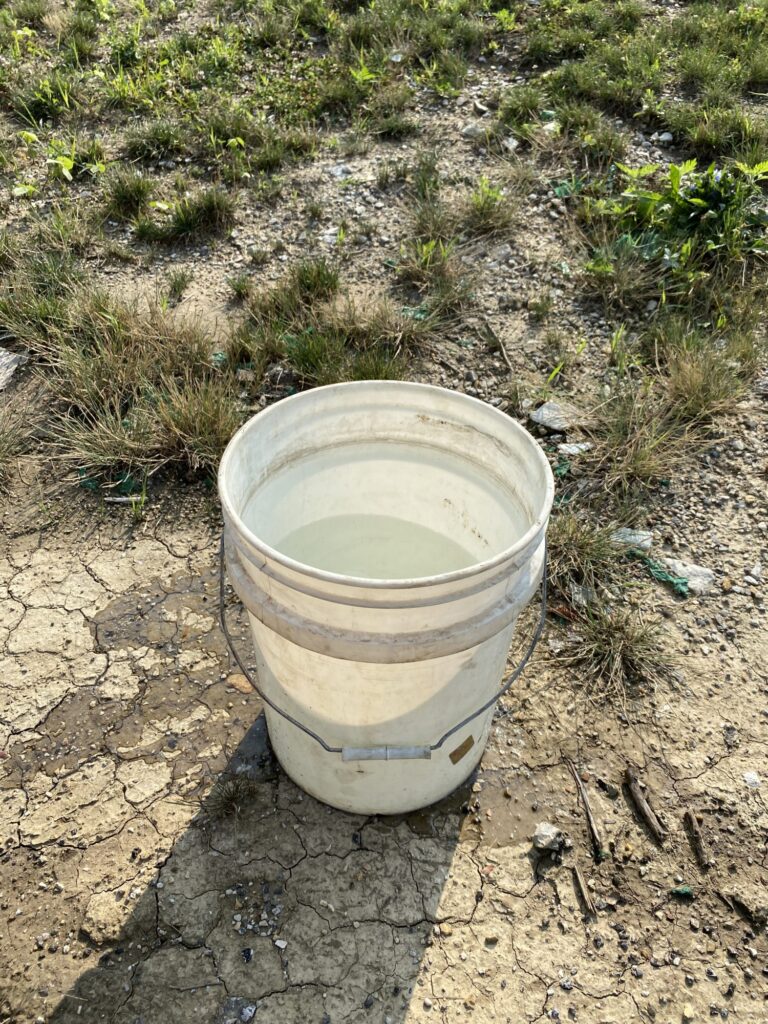 Water Bucket