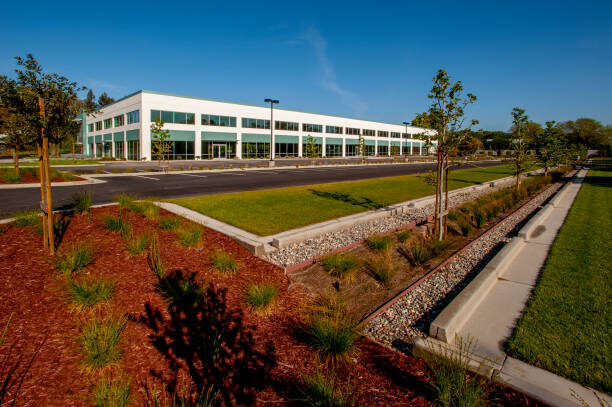 bioswale stock image