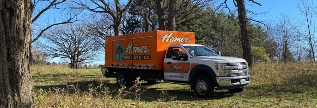 Homer Tree Service truck parked