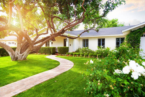 house and tree stock image