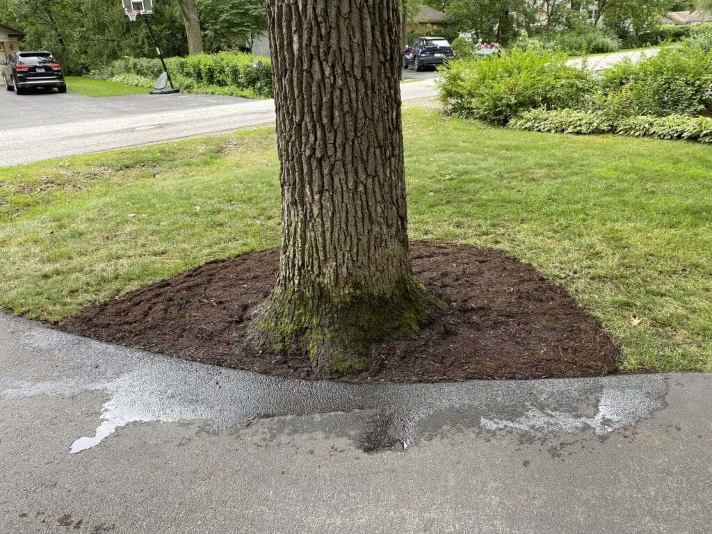 mulching cover photo