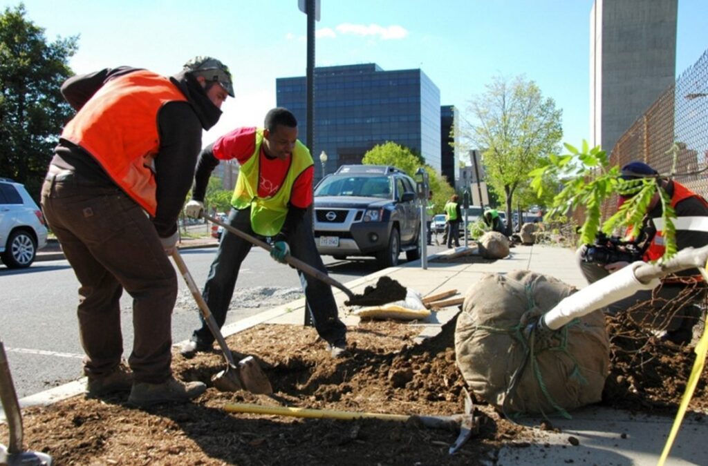 soil solutions cover photo